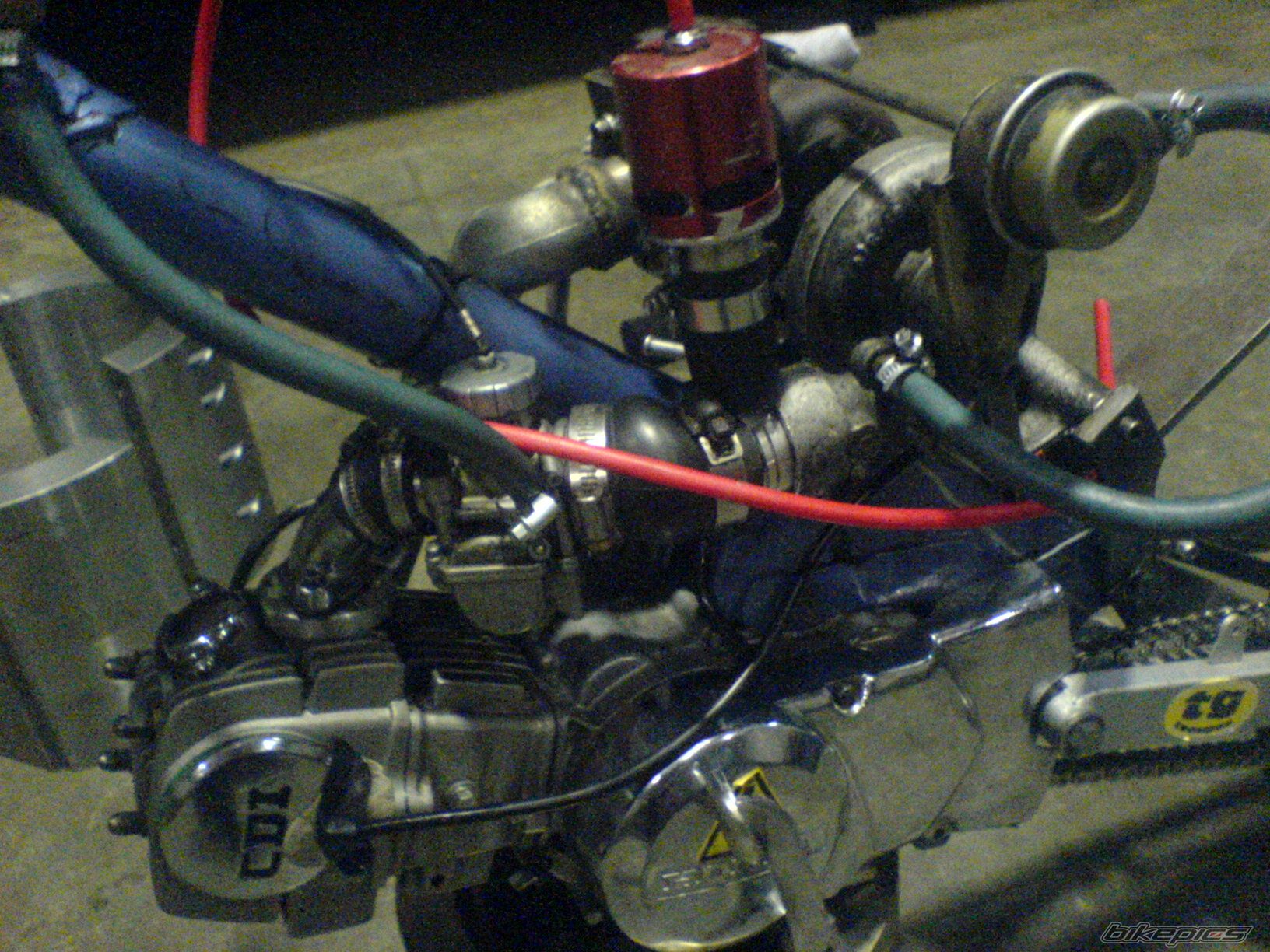 Photo 1116793
