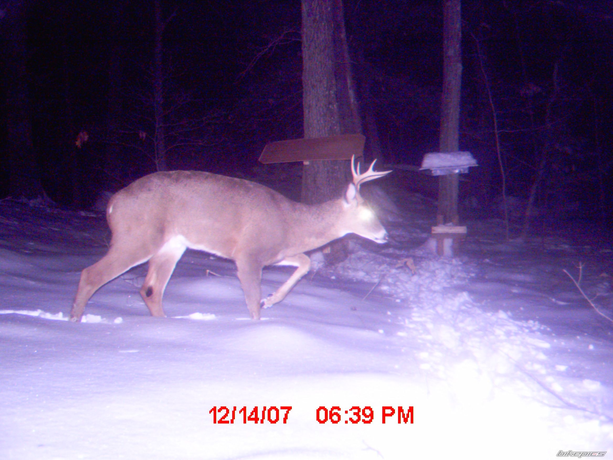 Photo 1116942