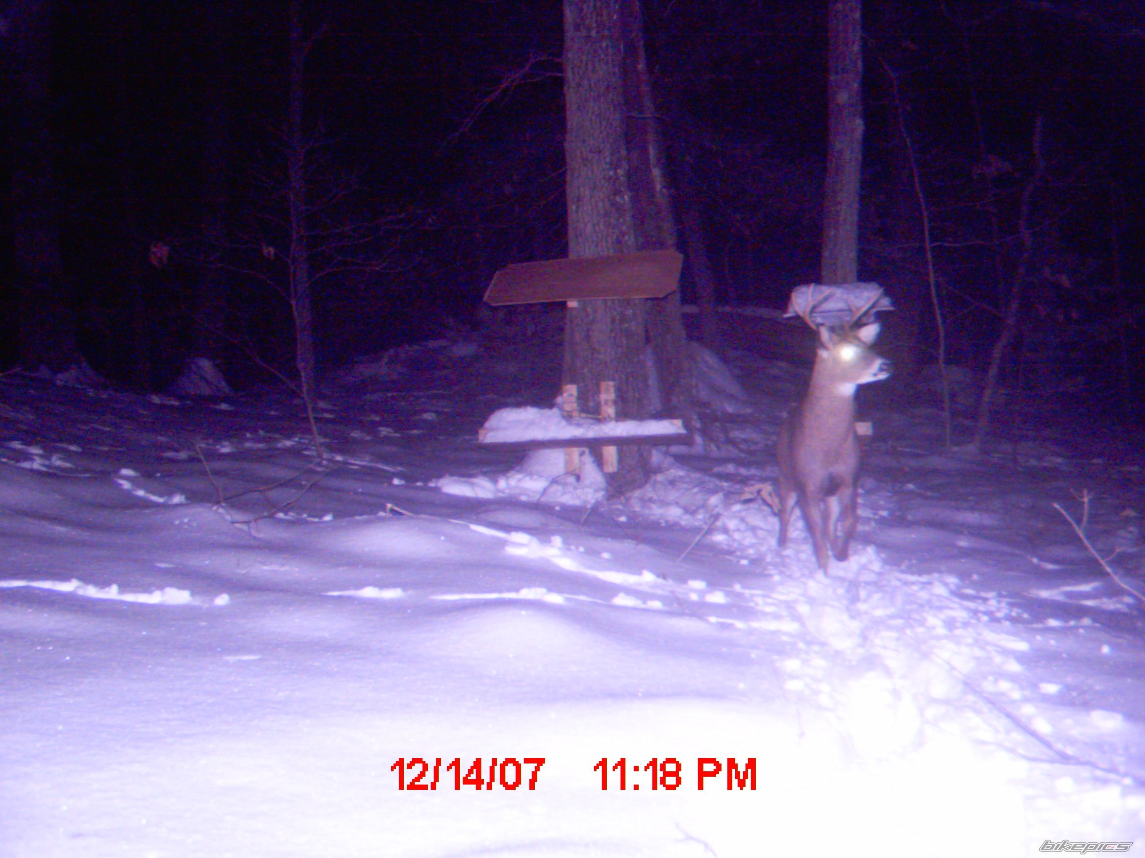 Photo 1116943