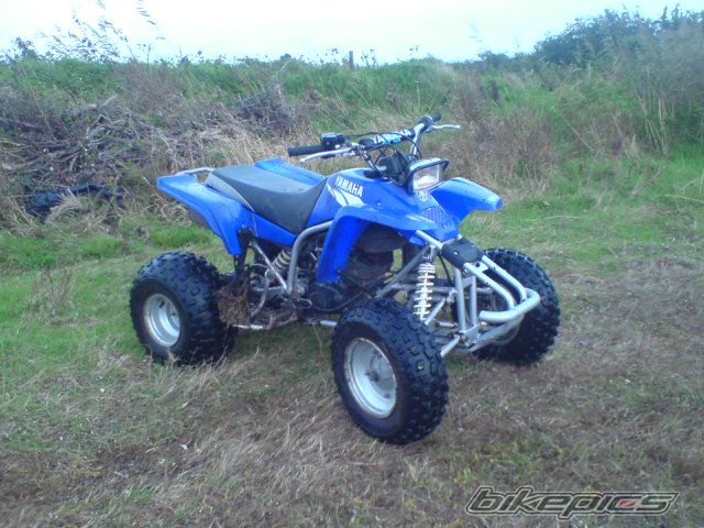 Photo 1117034