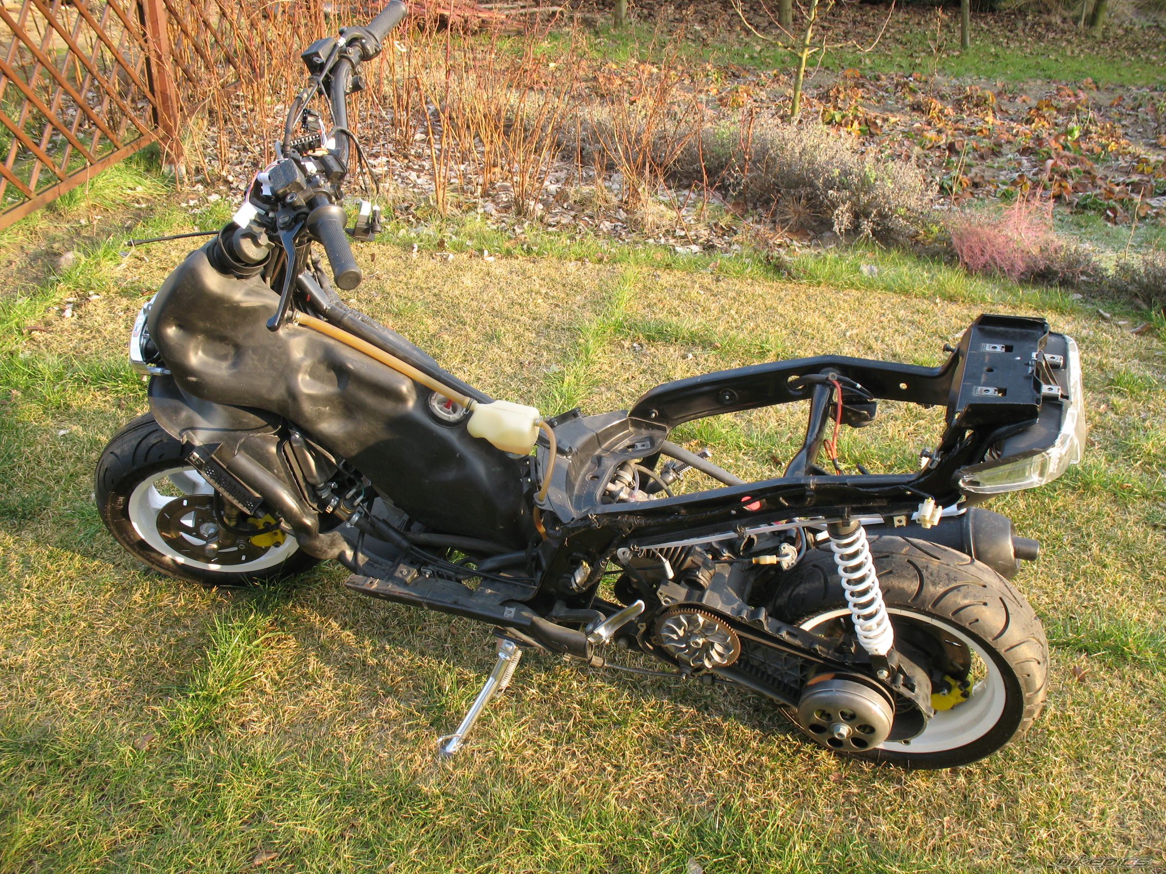 Photo 1117043