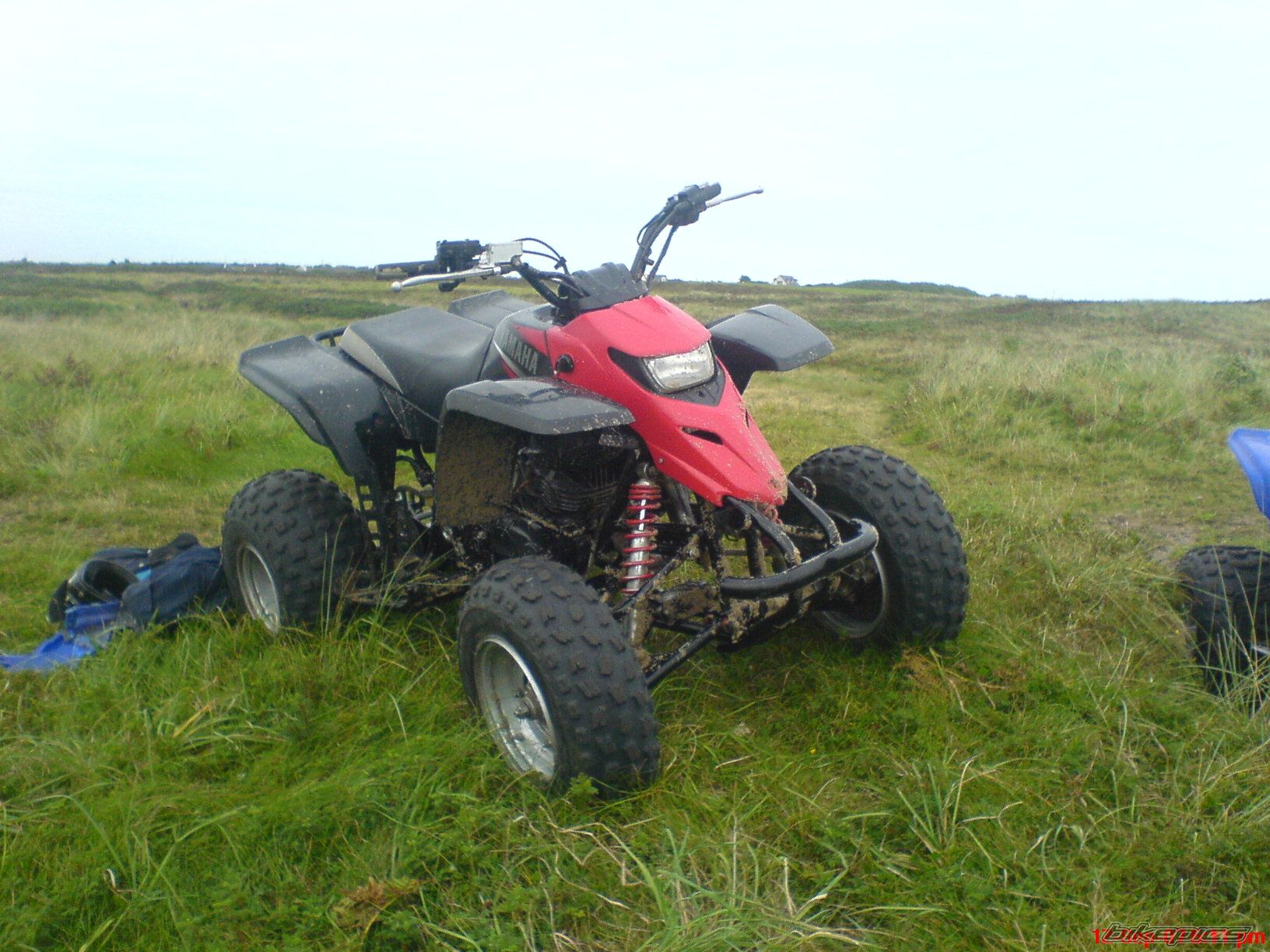 Photo 1117067