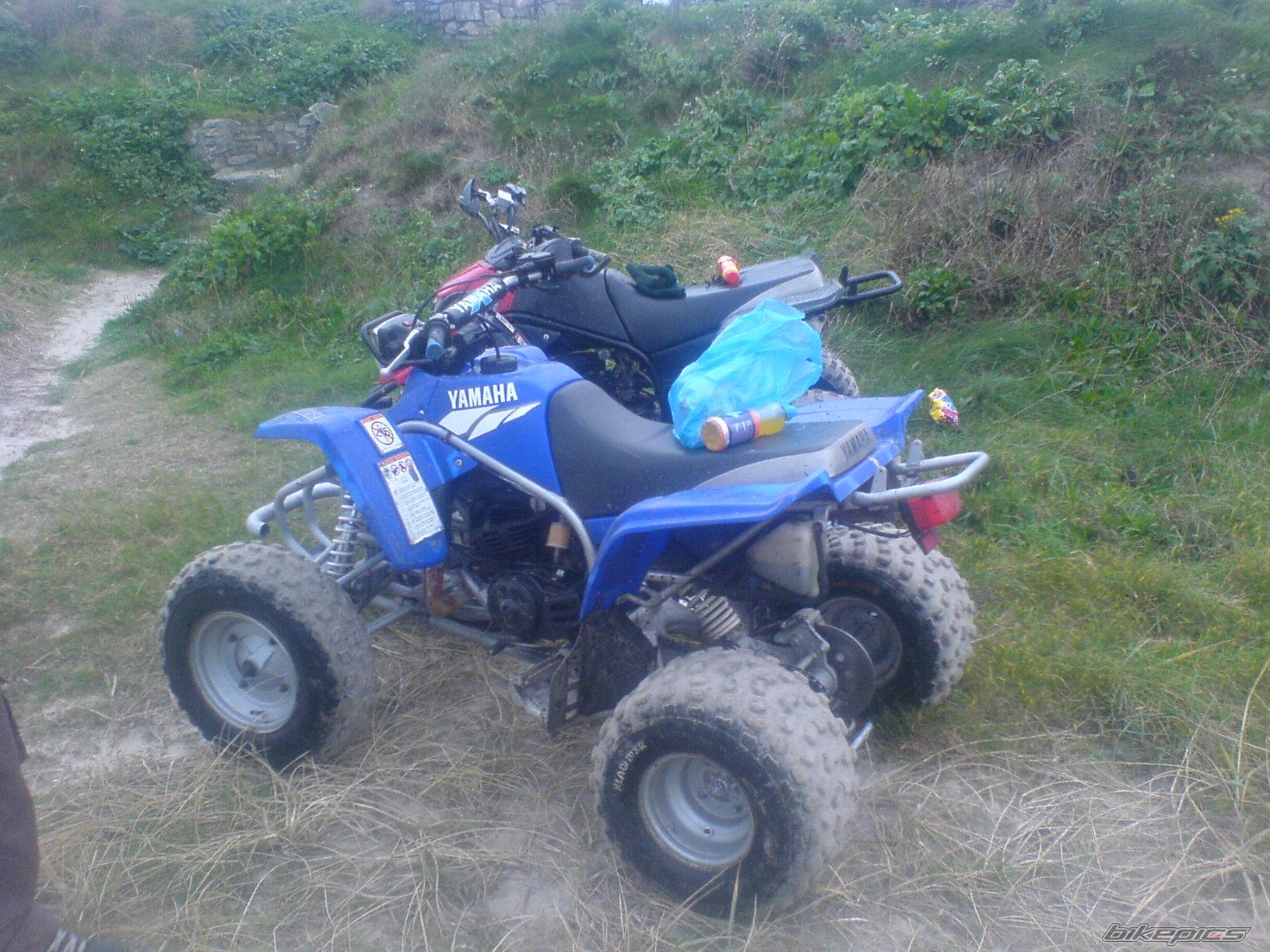 Photo 1117069