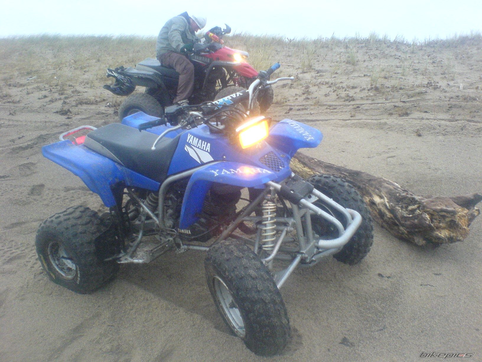 Photo 1117073