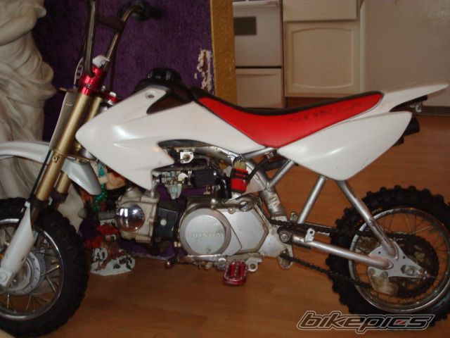 Photo 1117100