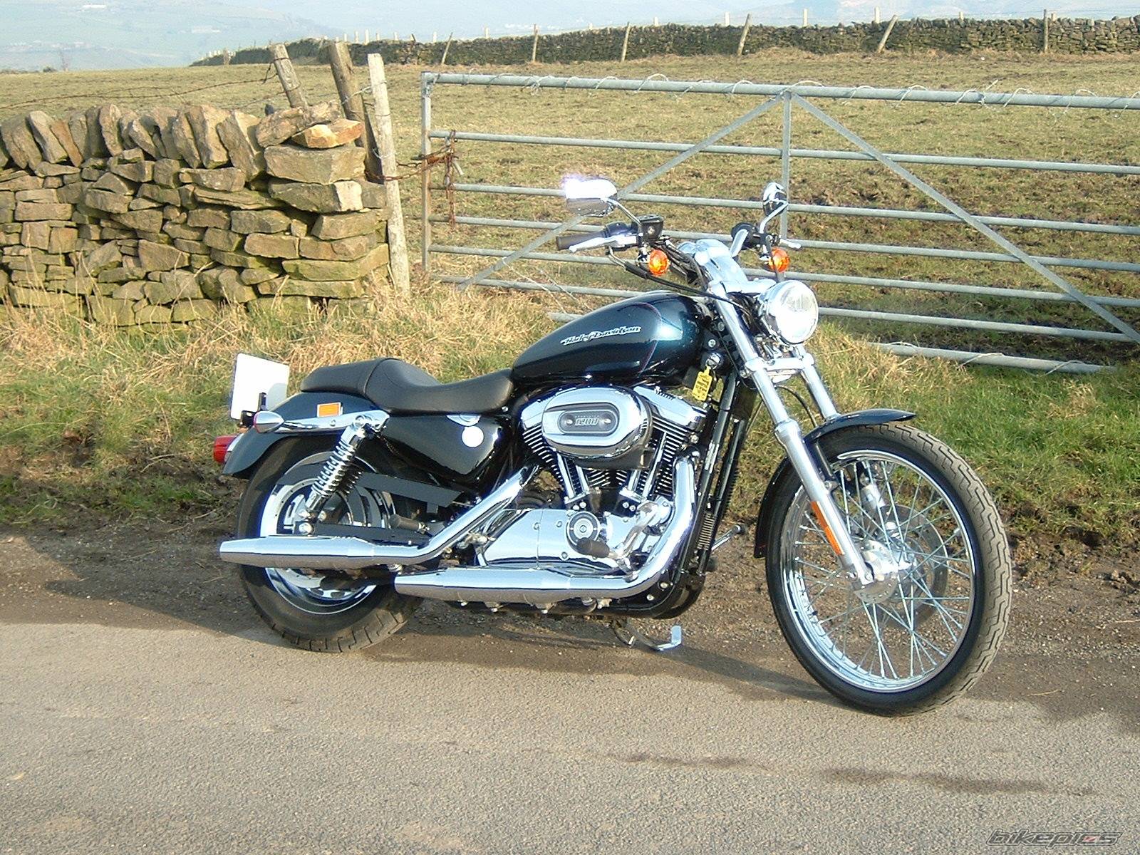 Photo 111729