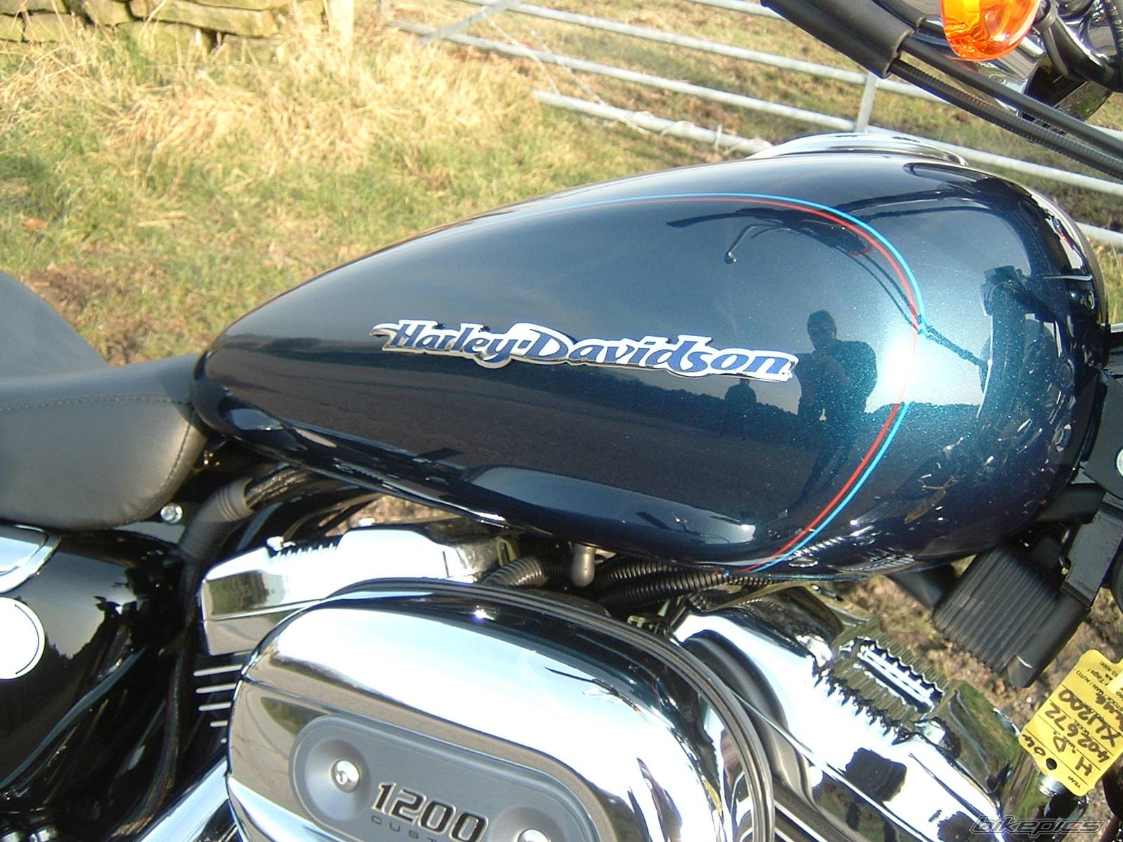 Photo 111733