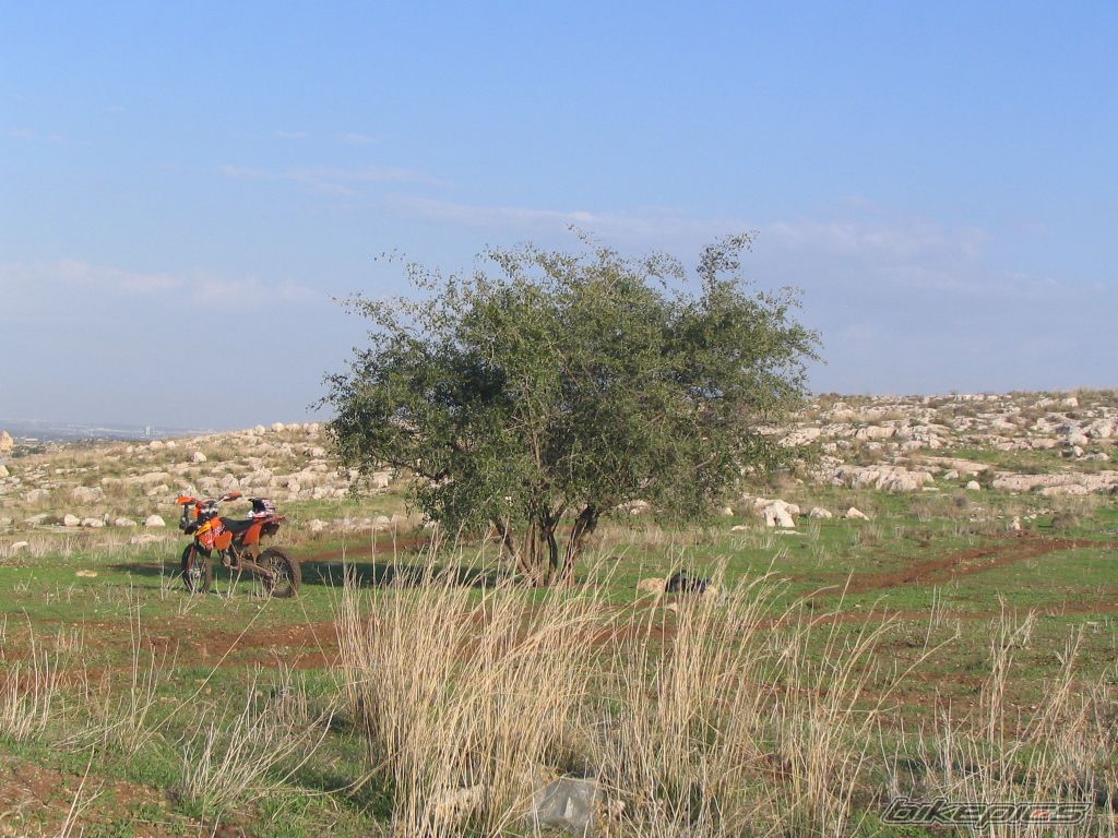 Photo 1117342