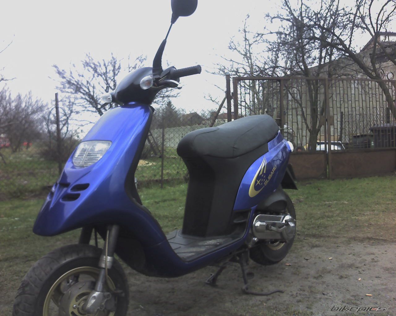 Photo 1117393