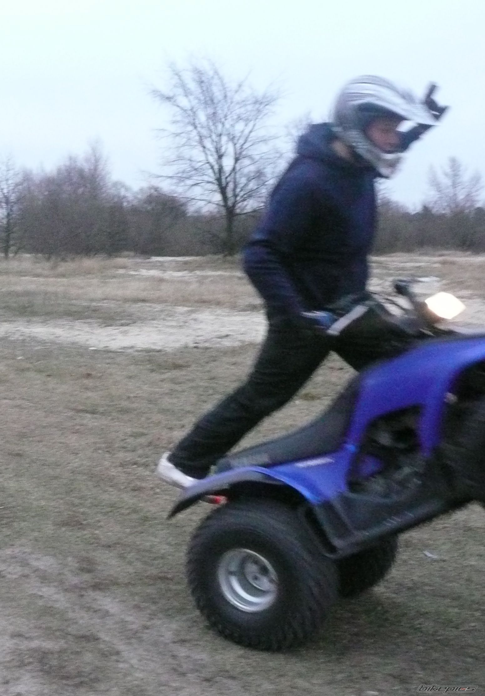 Photo 1117402