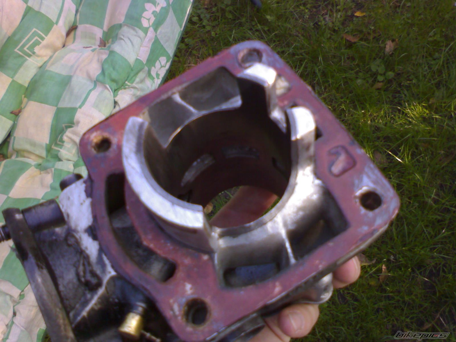 Photo 1117446
