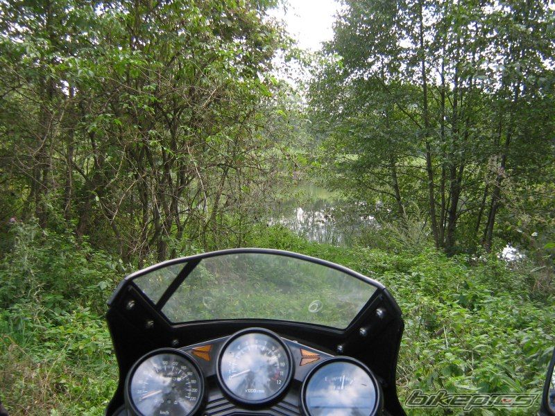 Photo 1117486