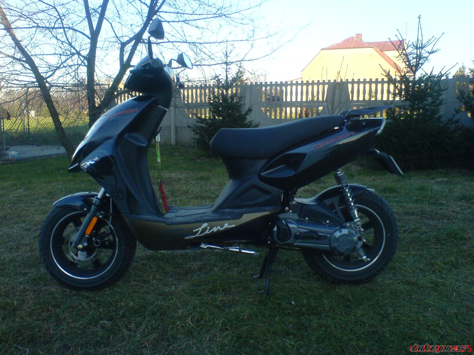 Bike Photo 1117581