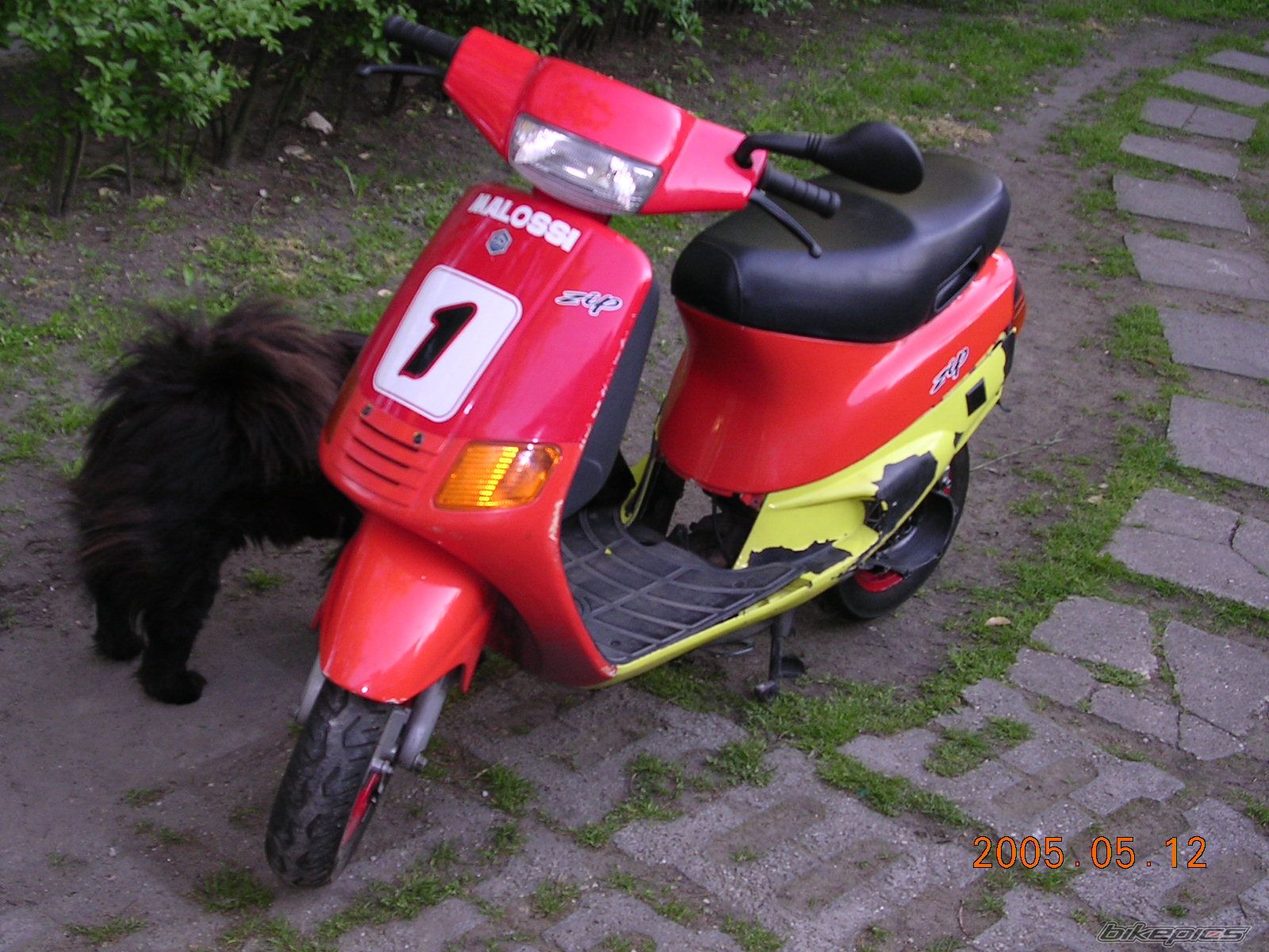 Photo 1117584