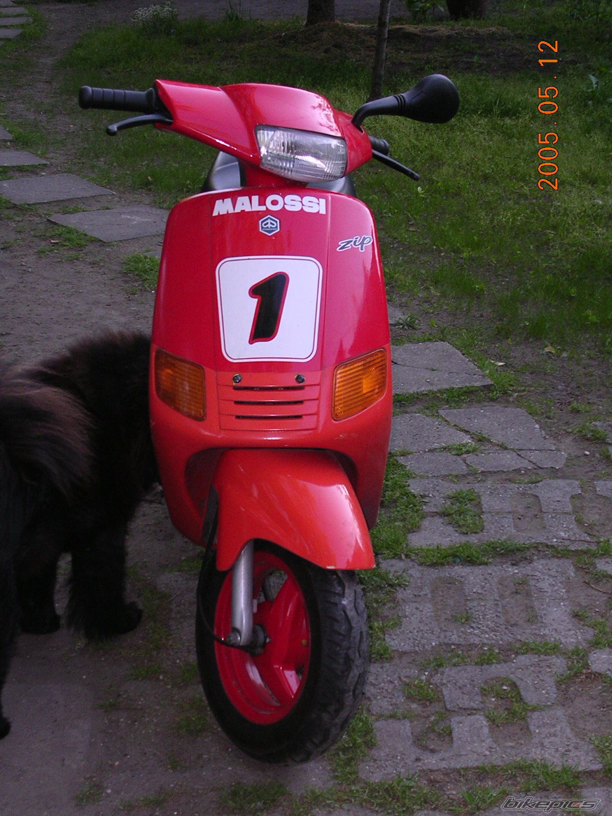 Photo 1117586