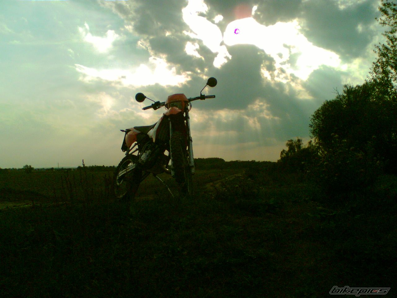 Bike Photo 1117612