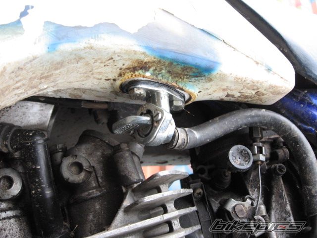 Photo 1117641