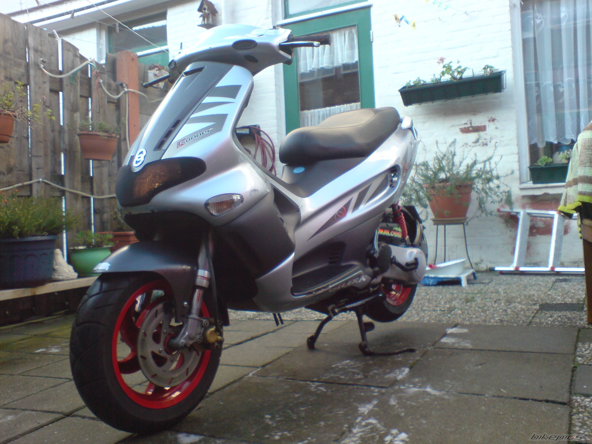 Photo 1117726