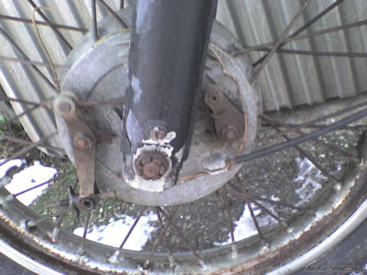 Photo 1117769