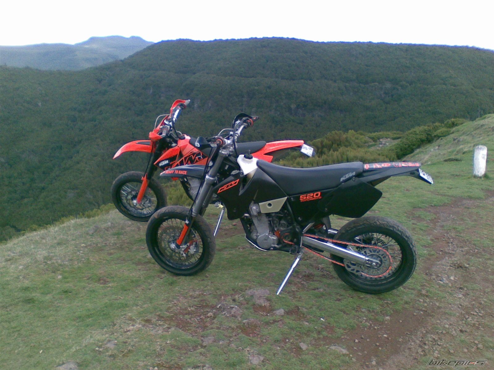Photo 1117799