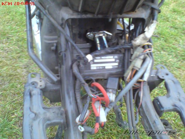 Photo 1117822