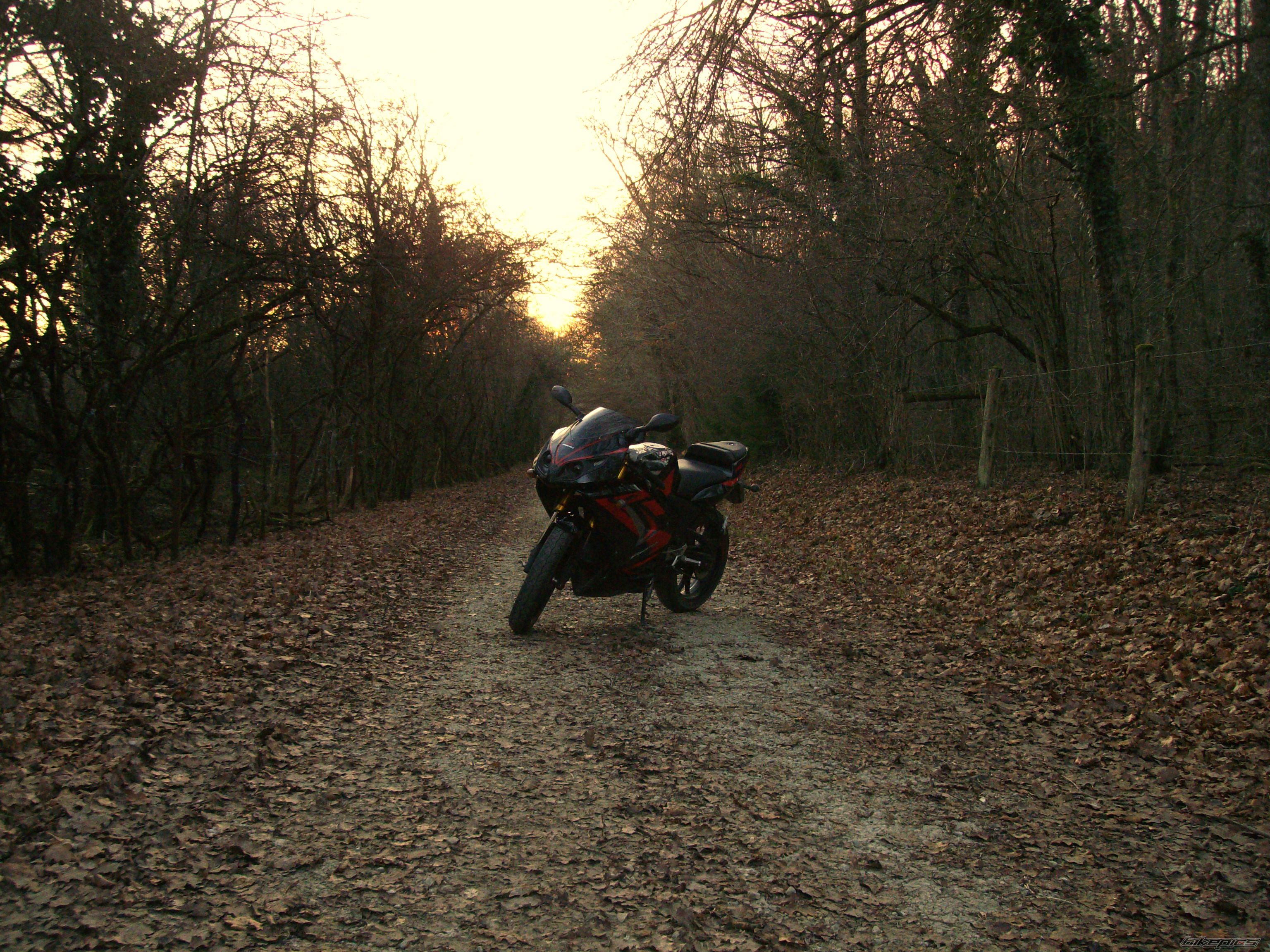 Bike Photo 1117932