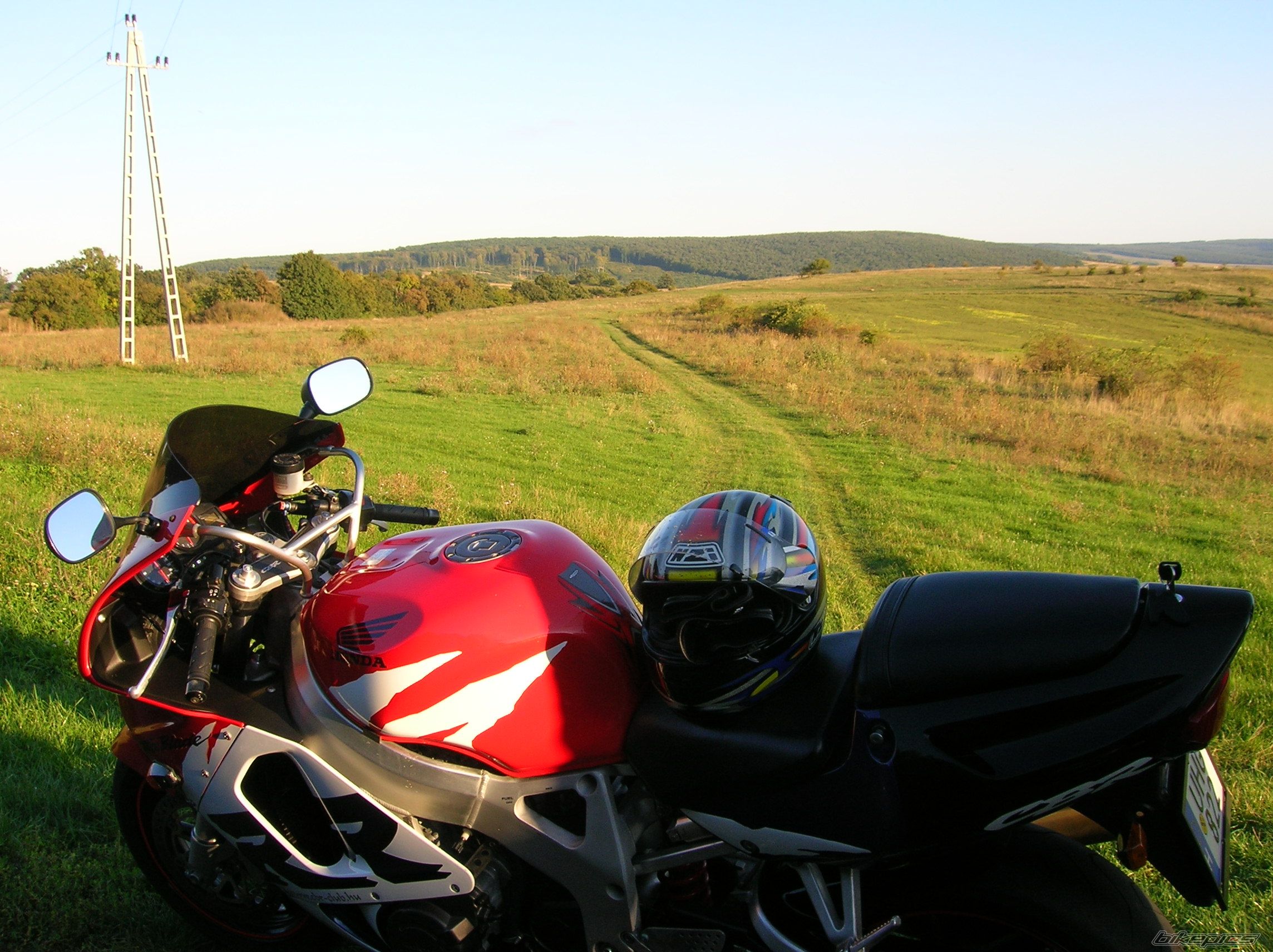 Photo 1118159