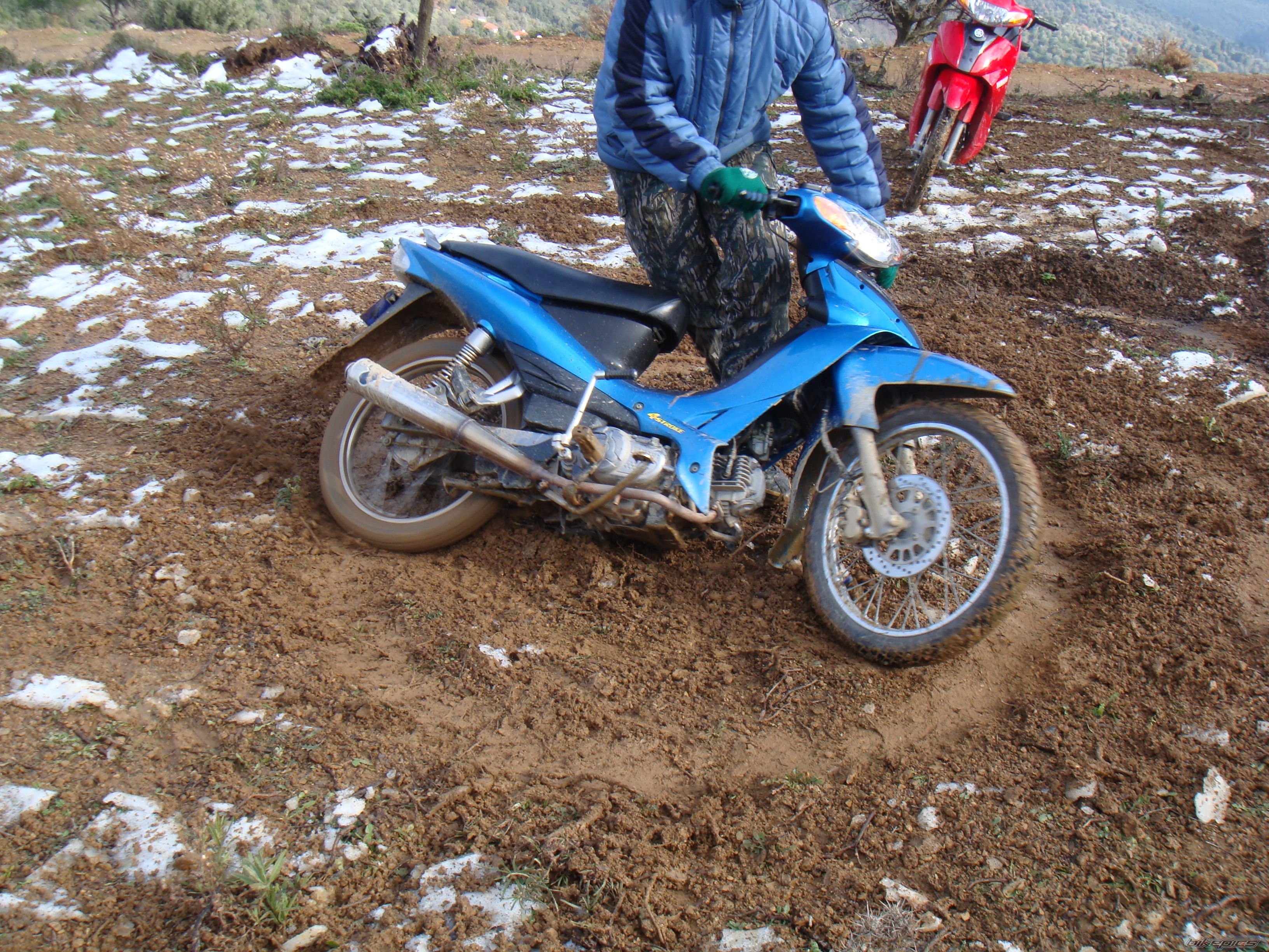 Photo 1118188