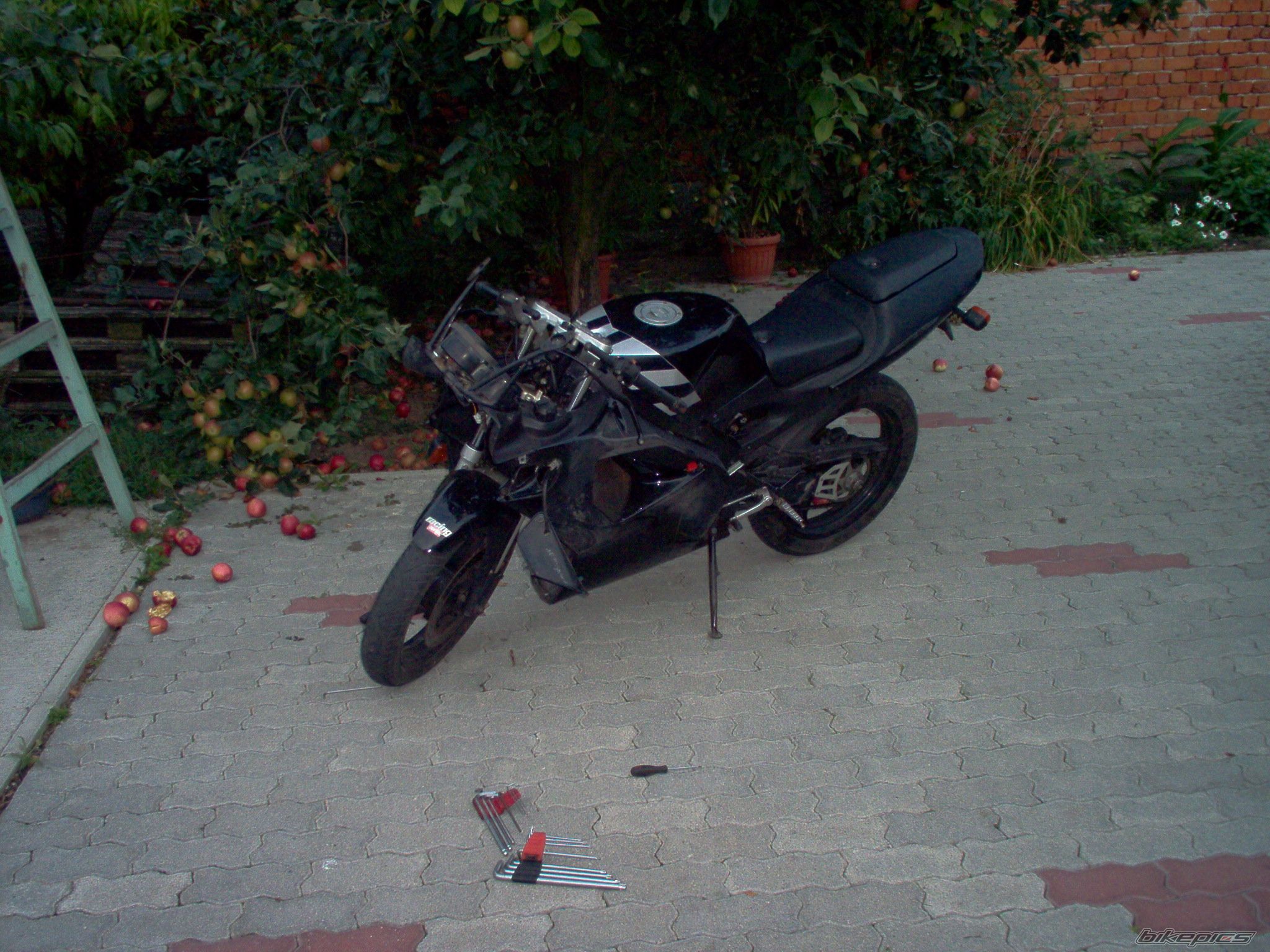 Photo 1118256
