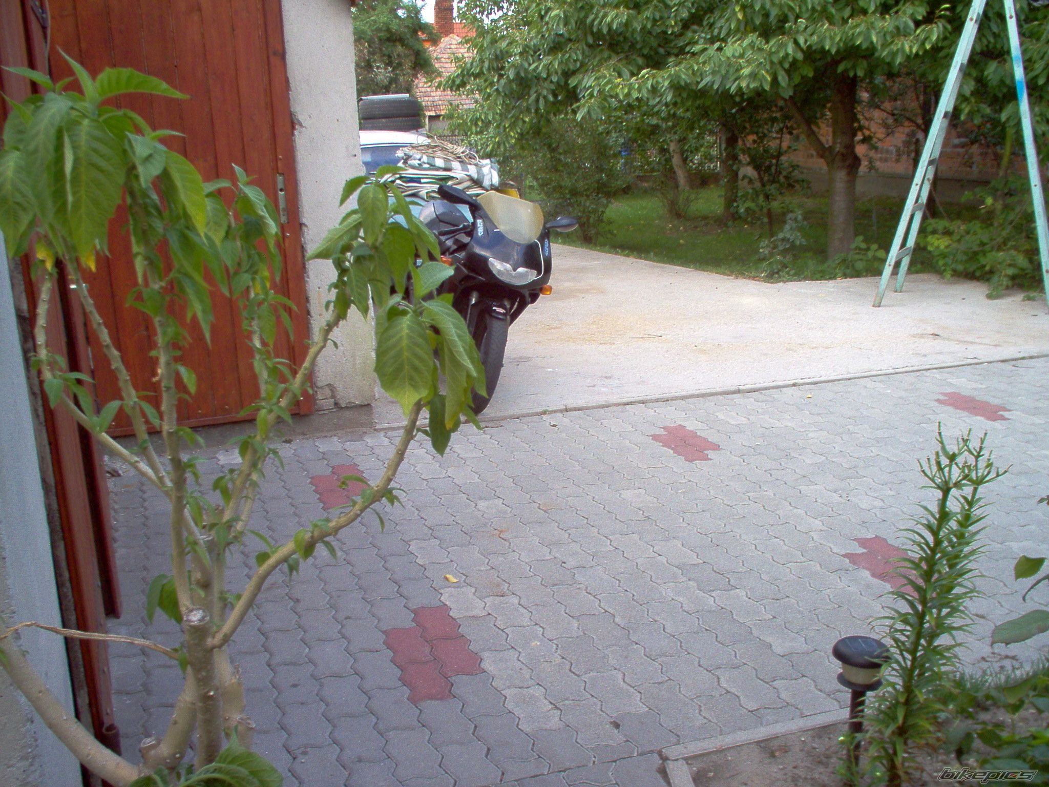 Bike Photo 1118279