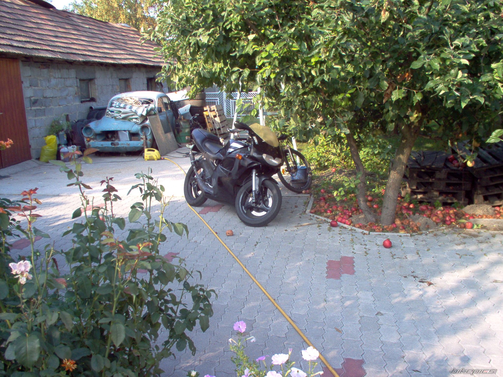 Bike Photo 1118281