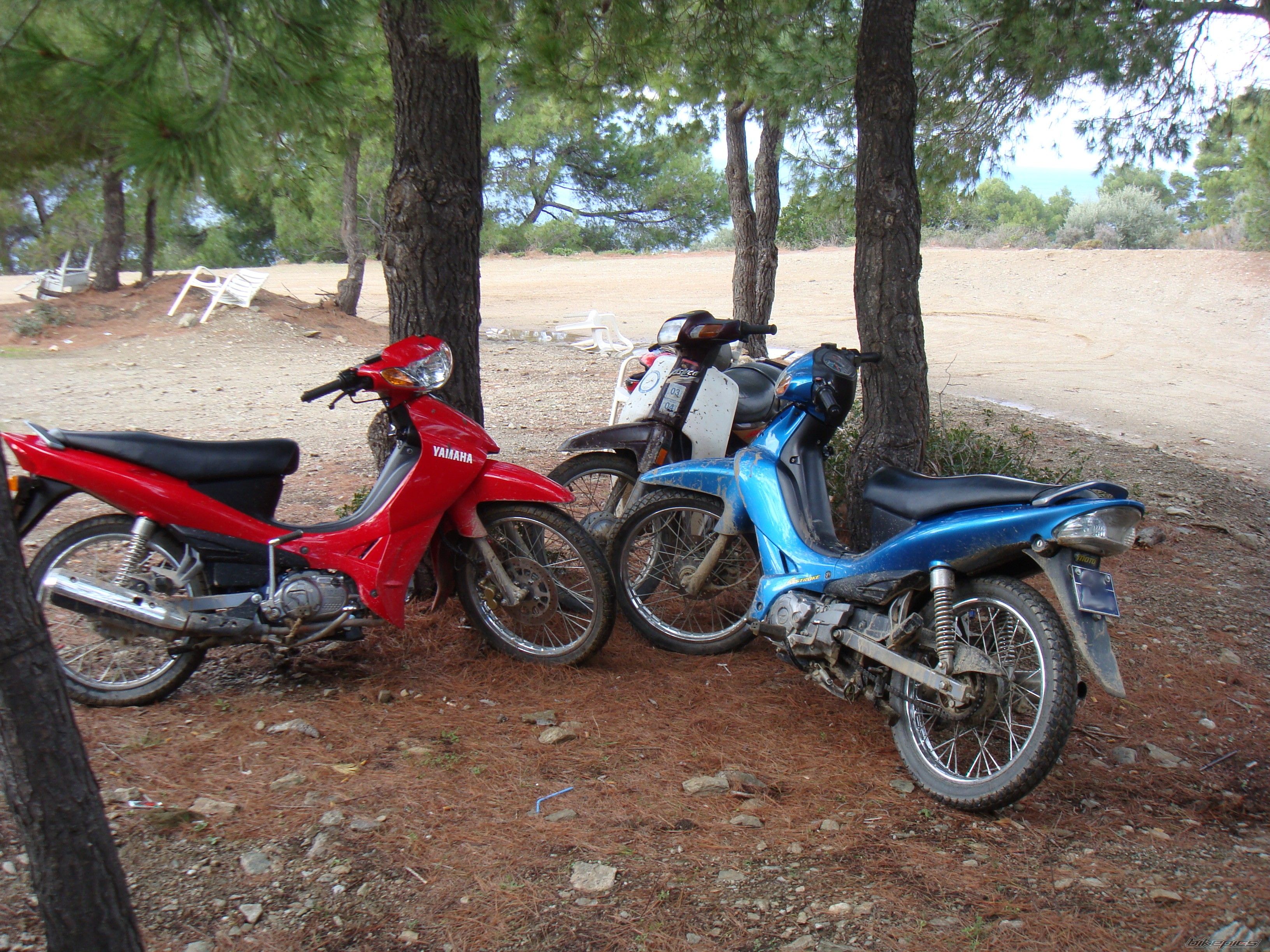 Photo 1118321