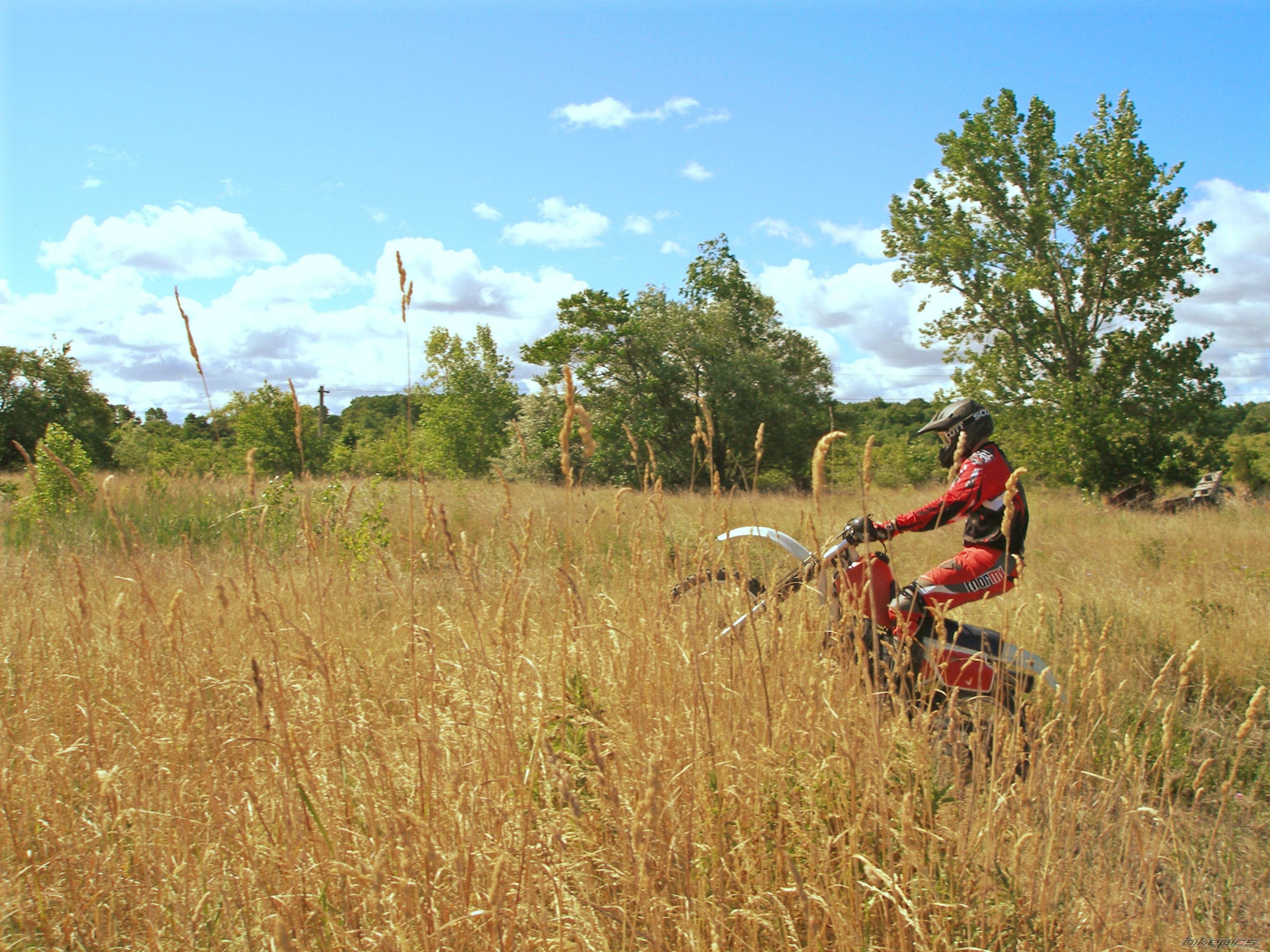 Bike Photo 1118358