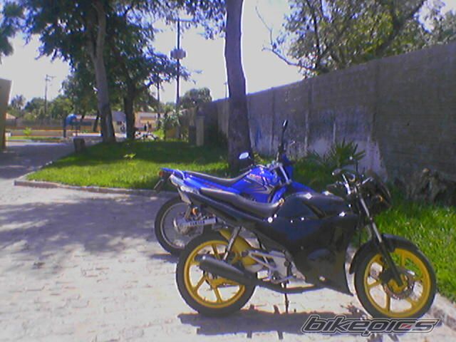 Photo 1118395