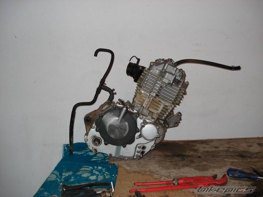 Bike Photo 1118404