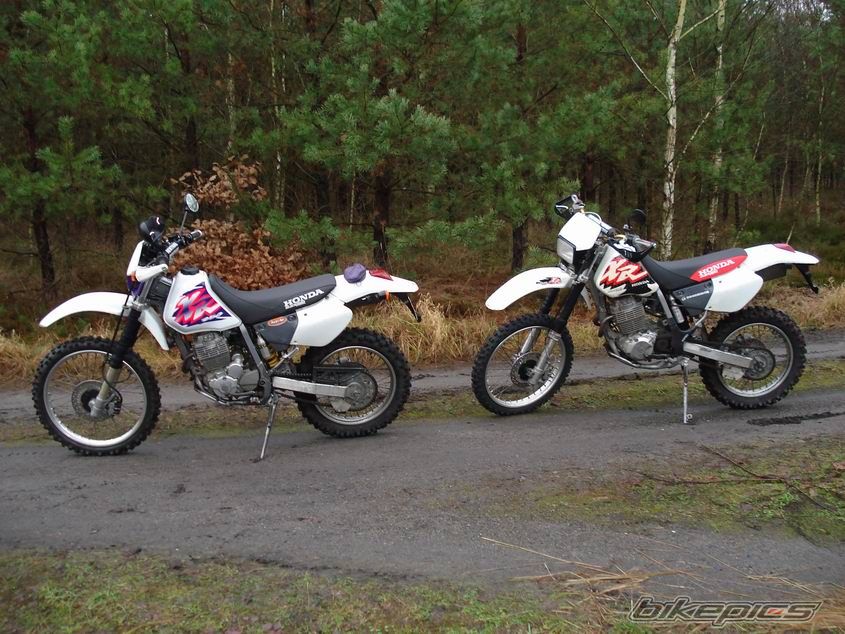 Bike Photo 1118484