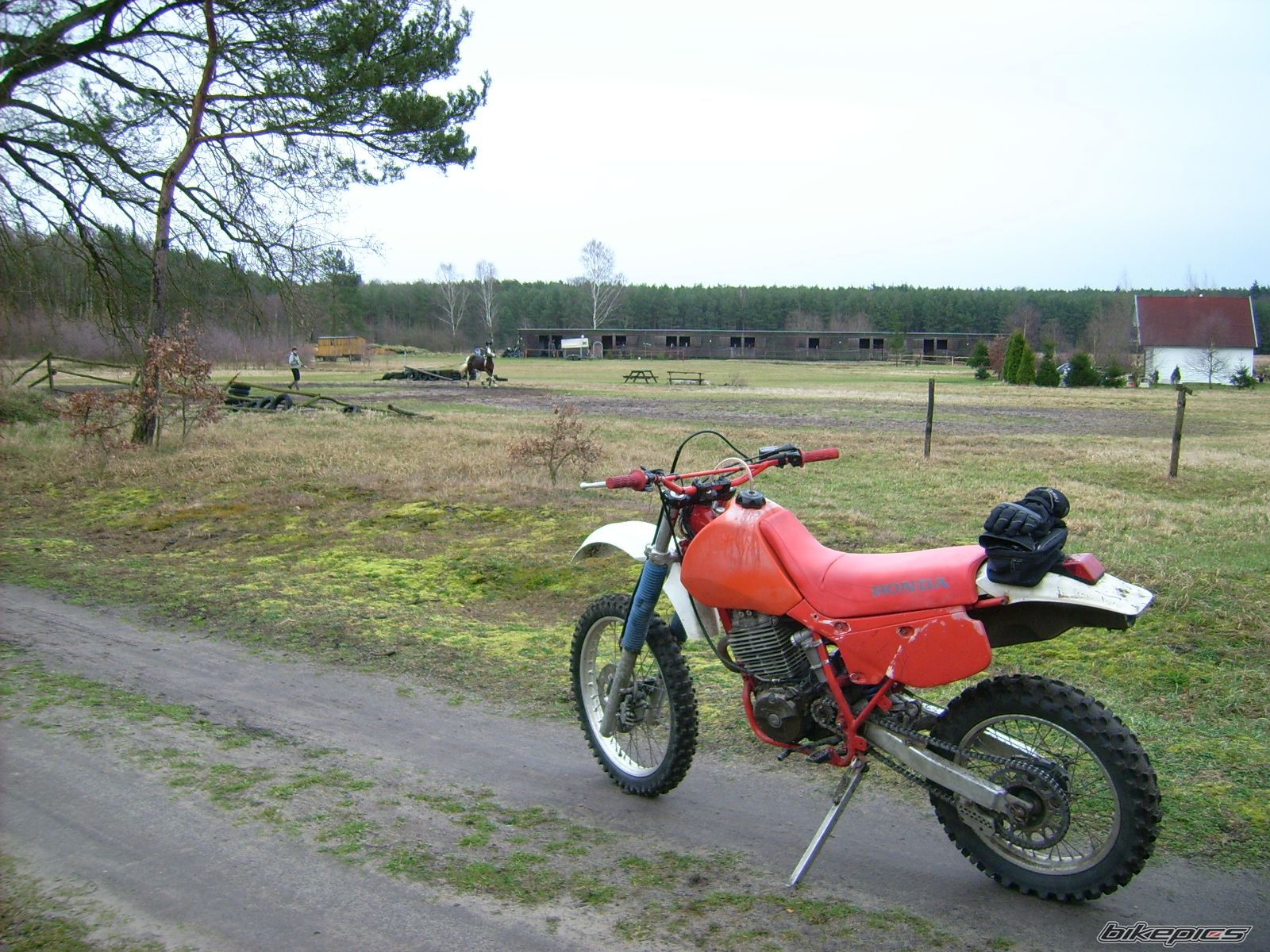 Bike Photo 1118520