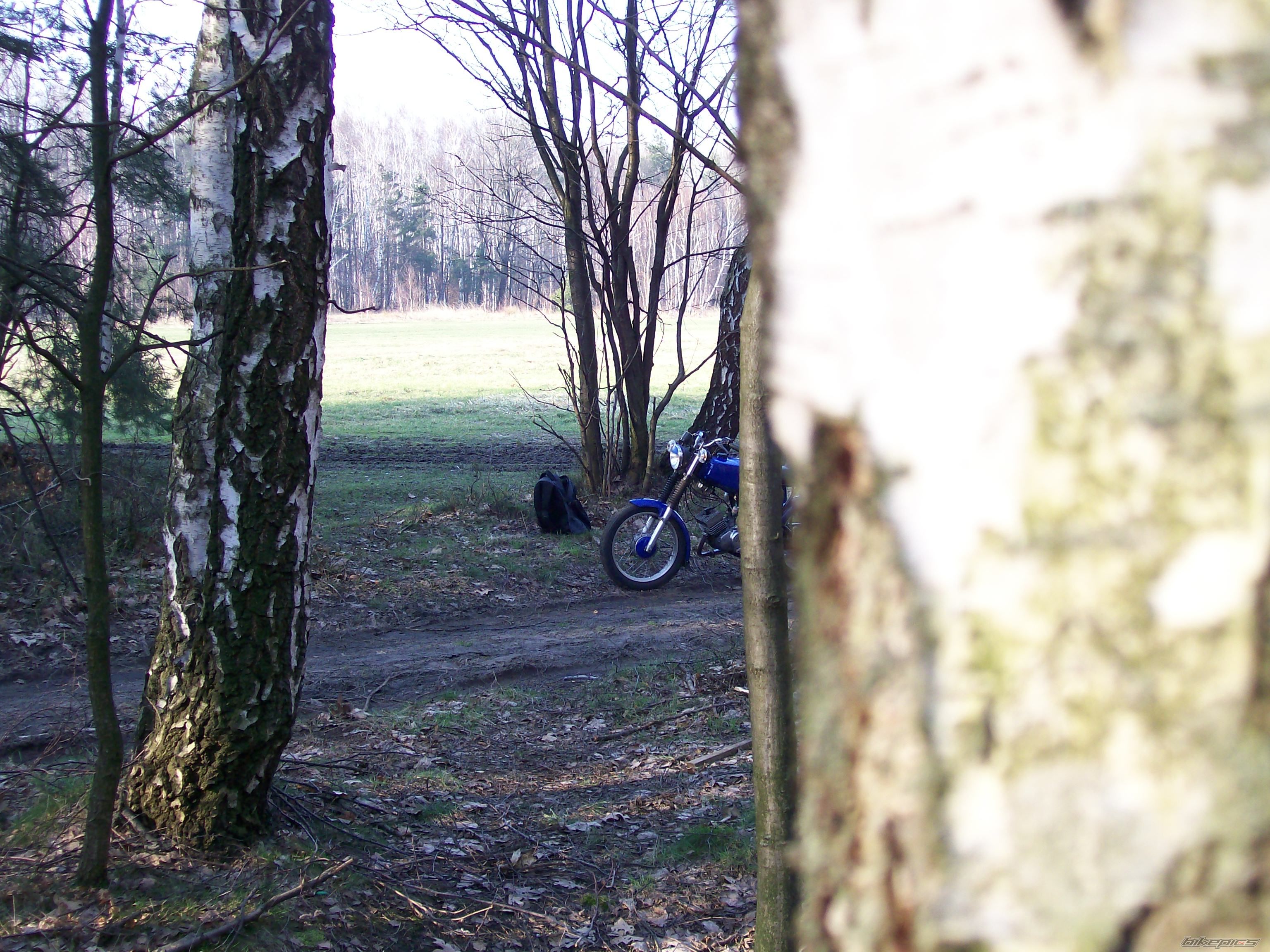 Bike Photo 1118912