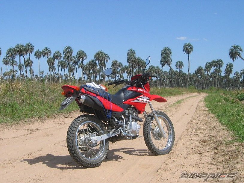 Bike Photo 1118978
