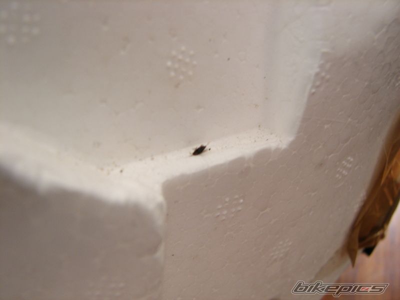 Photo 1119087