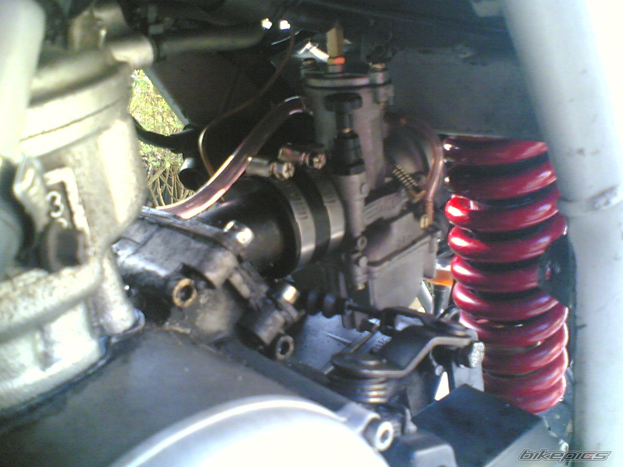 Photo 1119137