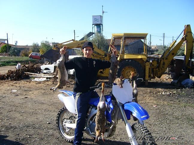 Photo 1119185