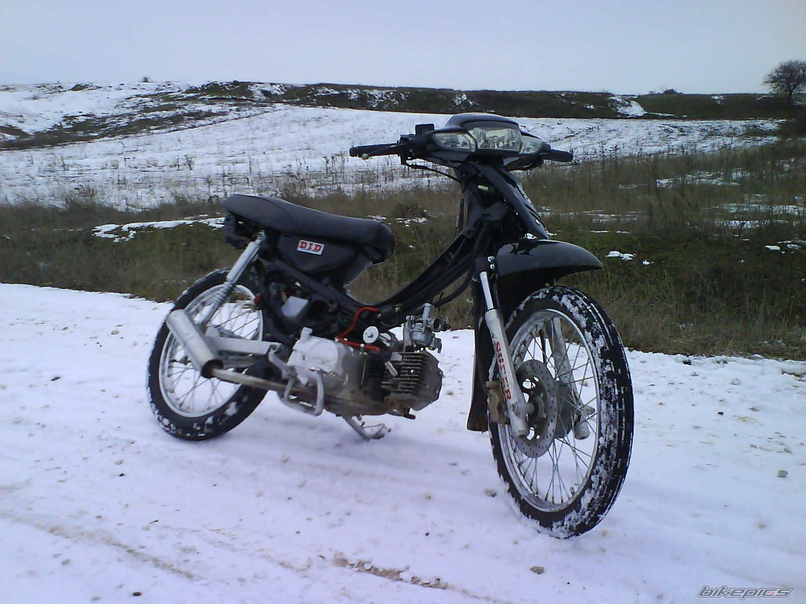 Photo 1119216