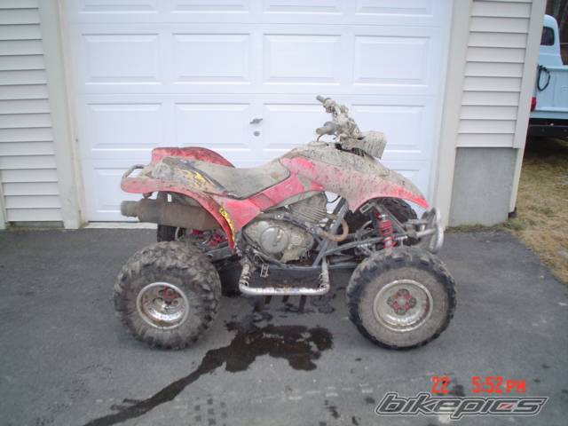 Photo 111949