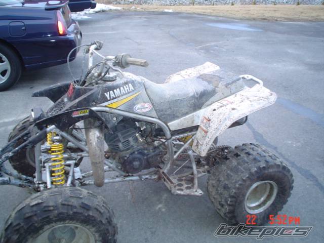 Photo 111951