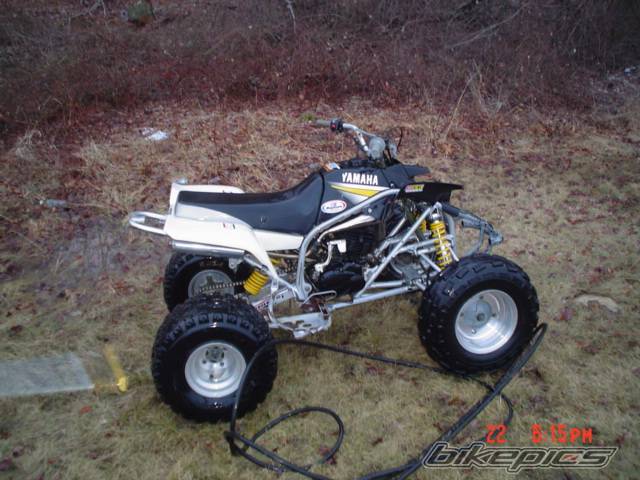 Photo 111954