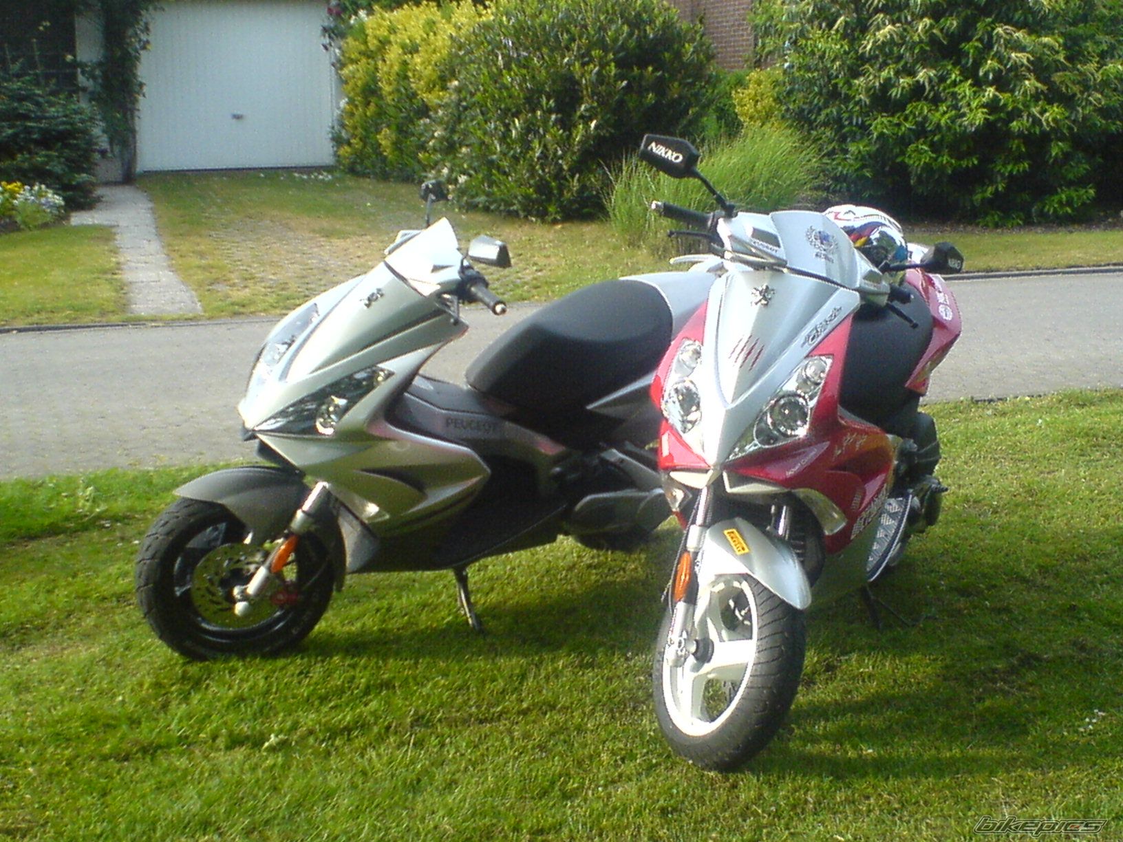 Photo 1119629