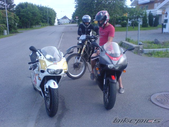 Photo 1119693