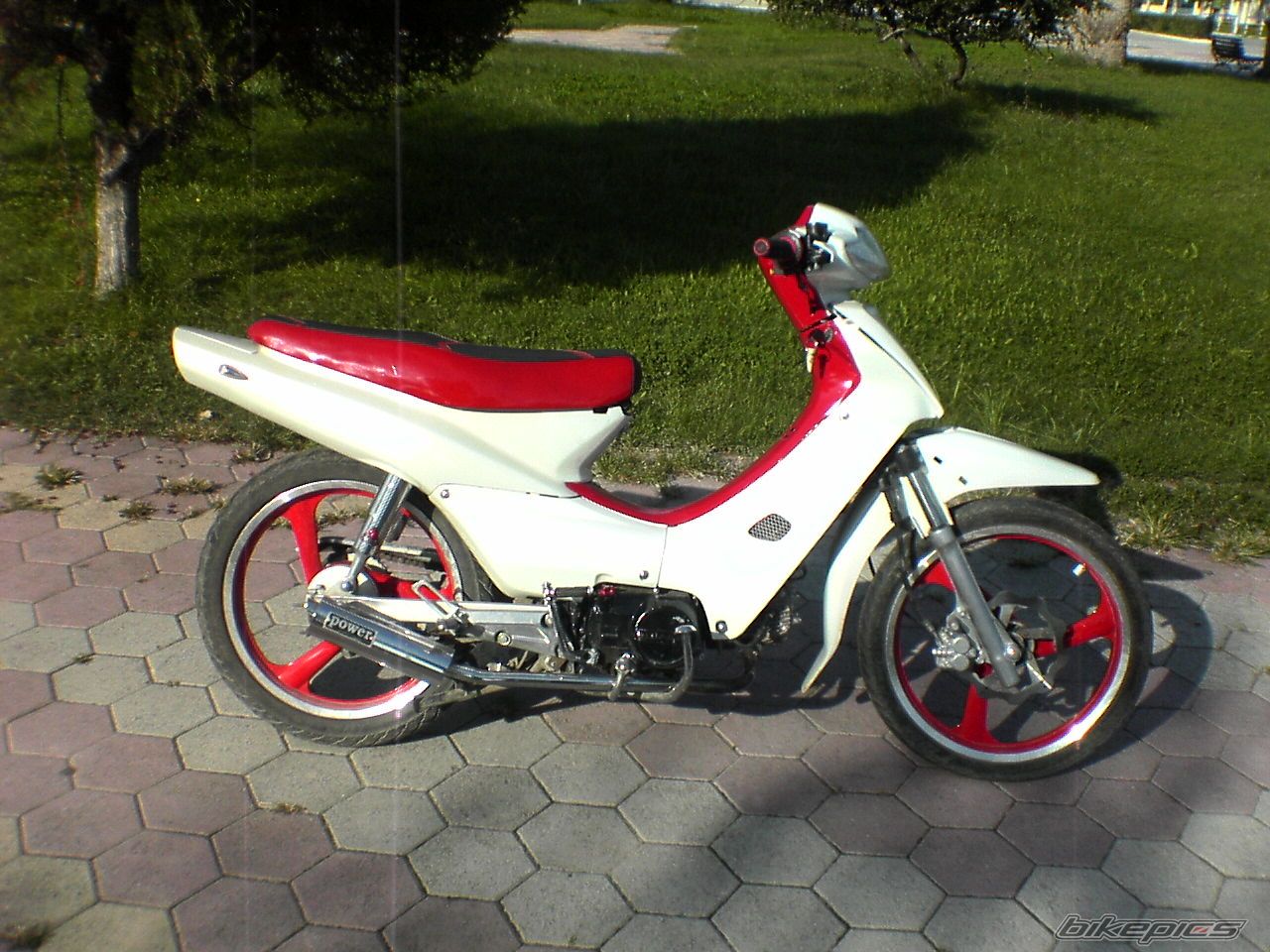 Photo 1119740