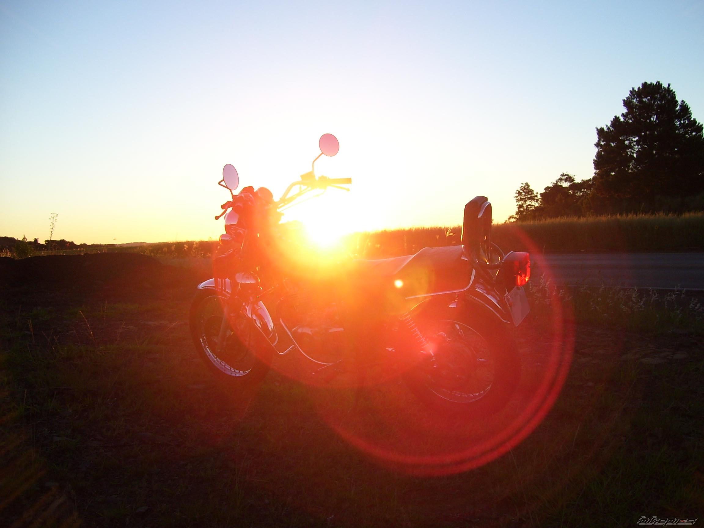 Photo 1119939